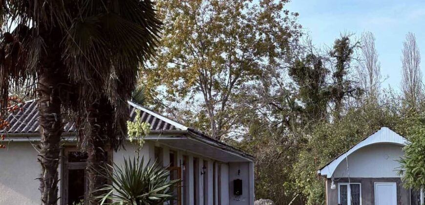Private house in Zugdidi, Kakhati village