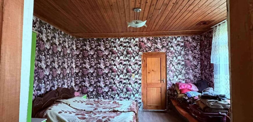 Private house in Zugdidi, Kakhati village