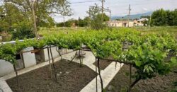 House for sale – Khashuri district, Gomi village