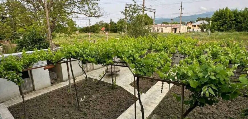 House for sale – Khashuri district, Gomi village