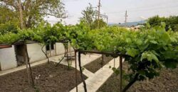 House for sale – Khashuri district, Gomi village